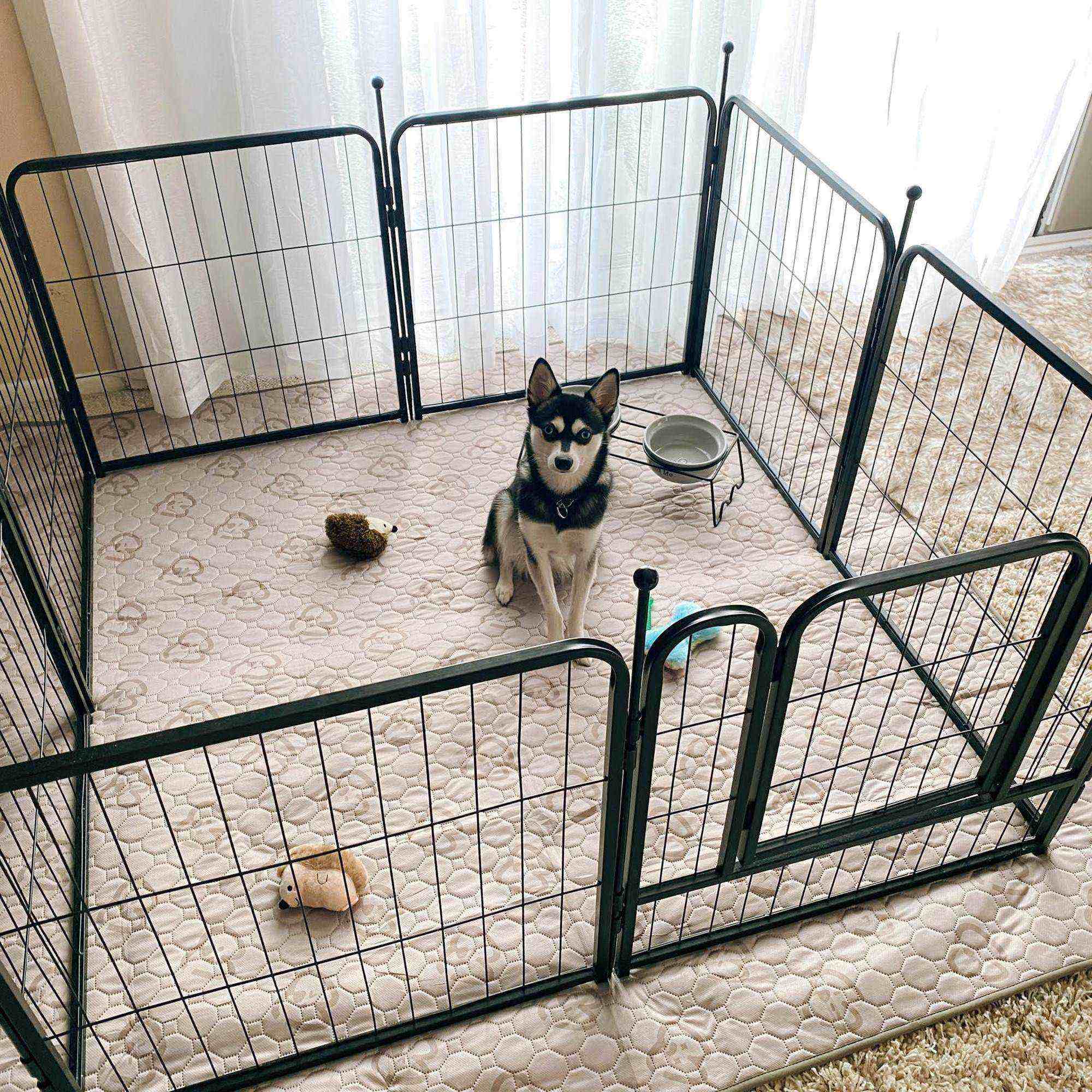 FXW Rollick Dog Playpen